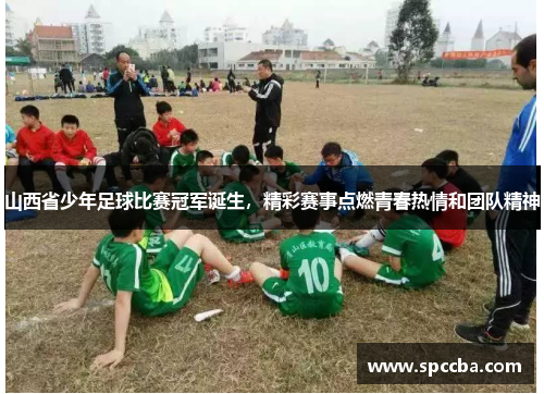 山西省少年足球比赛冠军诞生，精彩赛事点燃青春热情和团队精神