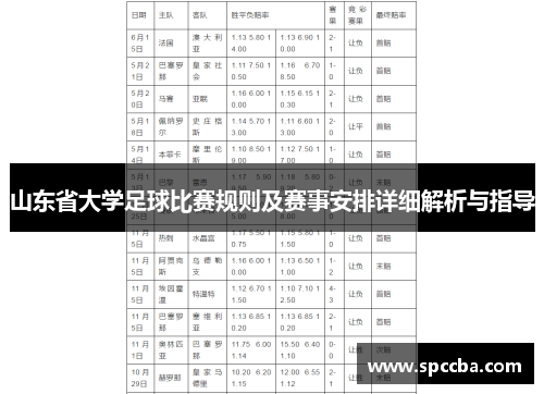 山东省大学足球比赛规则及赛事安排详细解析与指导